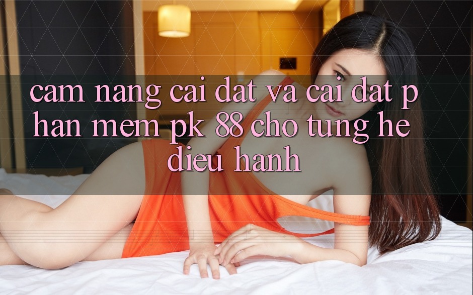 Cẩm nang Cài đặt Và Cài Đặt Phần mềm PK 88 Cho Từng Hệ Điều Hành