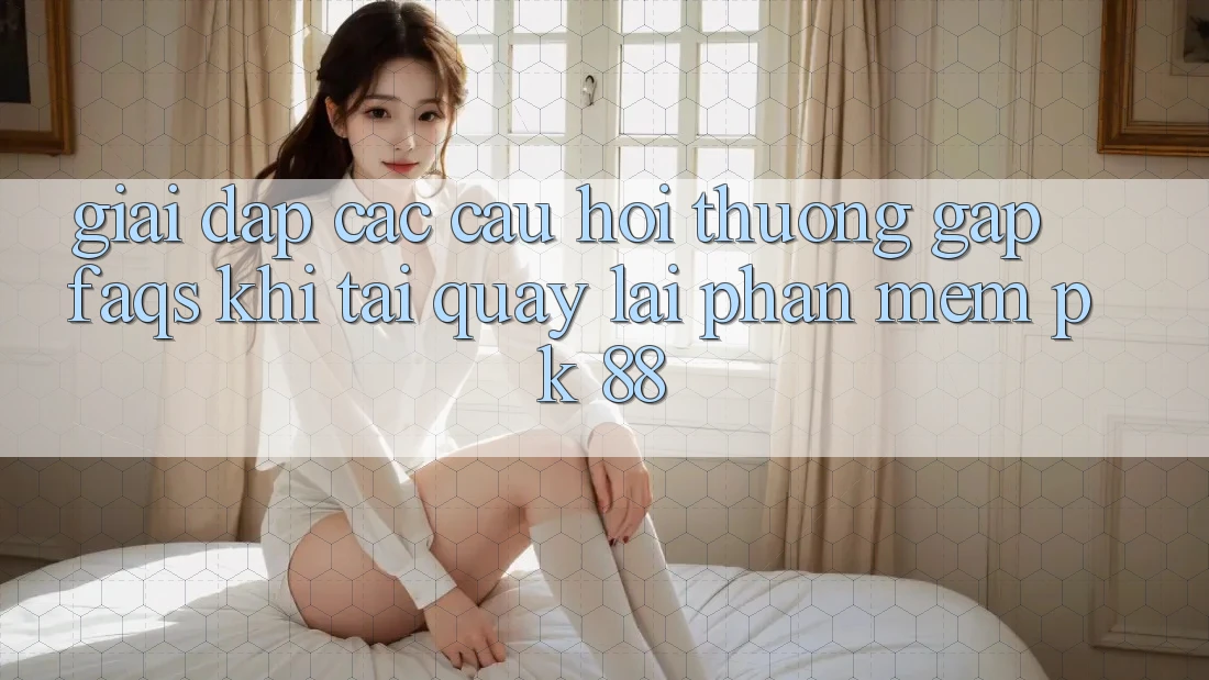 Giải Đáp Các Câu Hỏi Thường Gặp (FAQs) Khi Tải quay lại Phần mềm PK 88