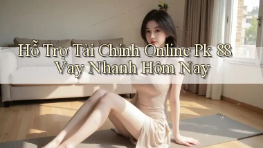 hỗ trợ tài chính online pk 88 vay nhanh hôm nay