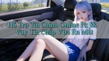 hỗ trợ tài chính online pk 88 vay tín chấp vừa ra mắt