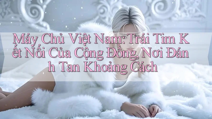 Máy Chủ Việt Nam: Trái Tim Kết Nối Của Cộng Đồng, Nơi Đánh Tan Khoảng Cách