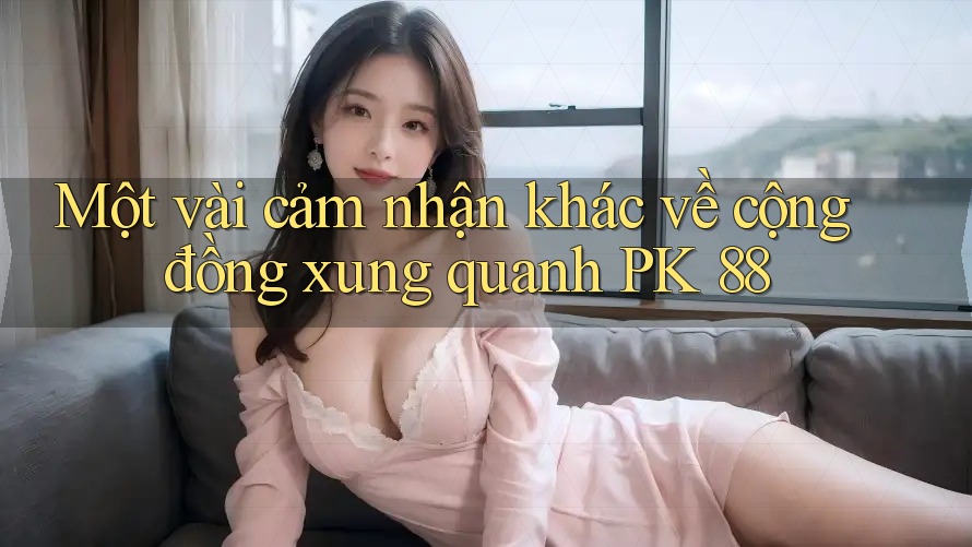 Một vài cảm nhận khác về cộng đồng xung quanh PK 88