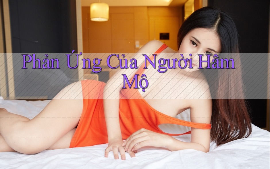 Phản Ứng Của Người Hâm Mộ