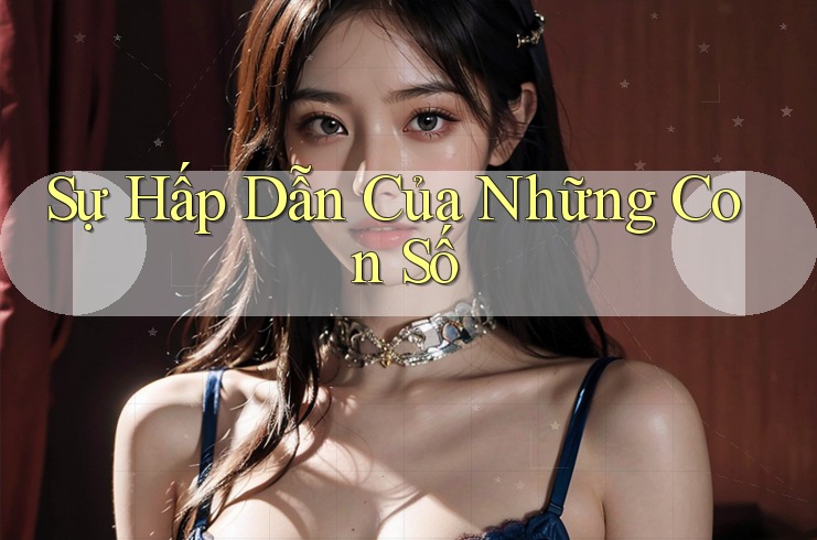 Sự Hấp Dẫn Của Những Con Số