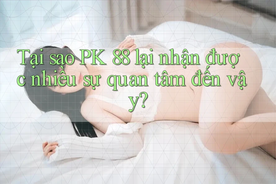 Tại sao PK 88 lại nhận được nhiều sự quan tâm đến vậy?