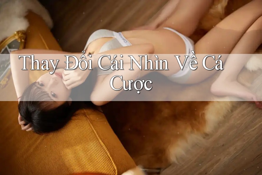 Thay Đổi Cái Nhìn Về Cá Cược