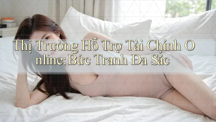 Thị Trường Hỗ Trợ Tài Chính Online: Bức Tranh Đa Sắc